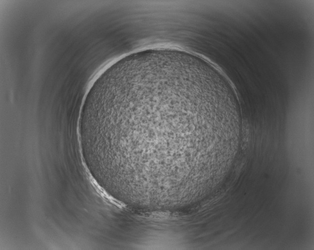 X0000085080959200703261255