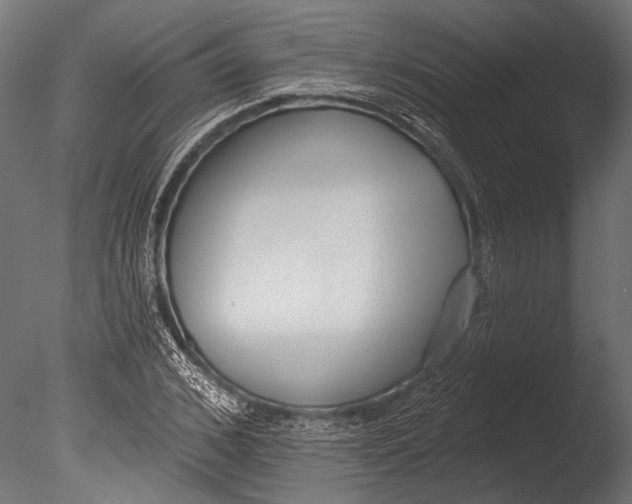 X0000085080976200703261253