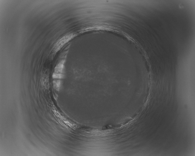 X0000085080977200703261253