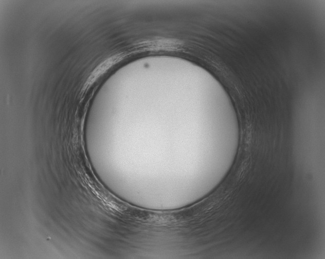 X0000085080978200703261253