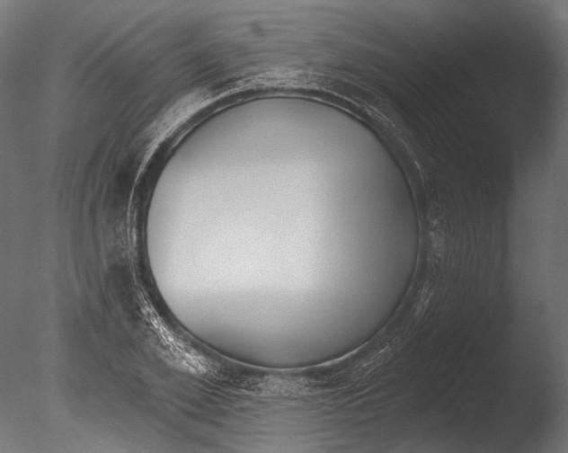 X0000085080981200703261253