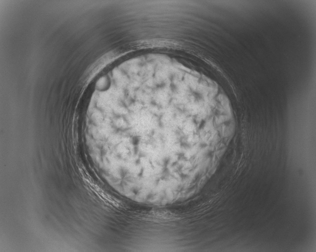 X0000085080983200703261253