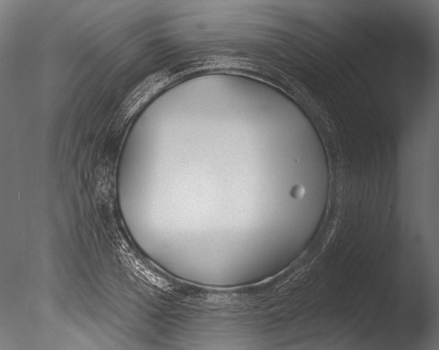 X0000085080985200703261253