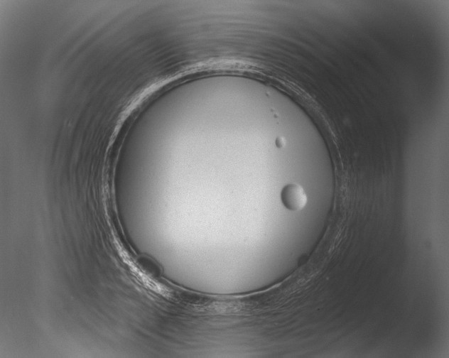 X0000085080989200703261253