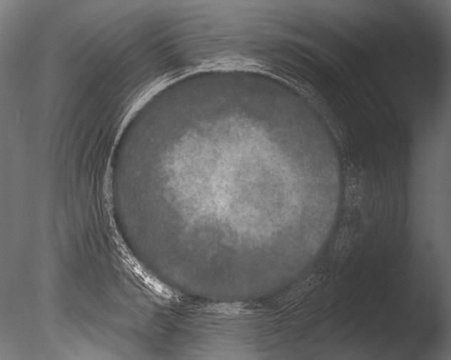 X0000085080990200703261253