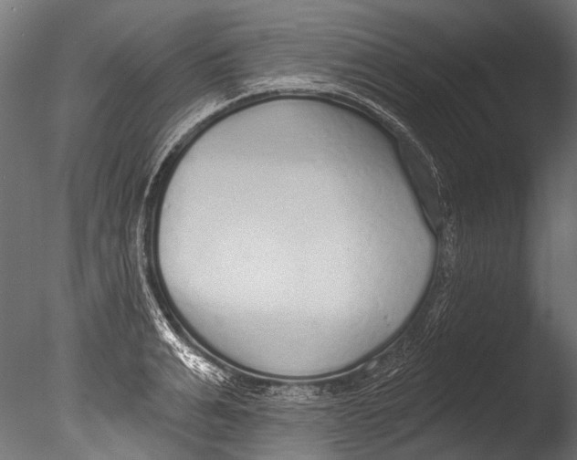 X0000085080991200703261253