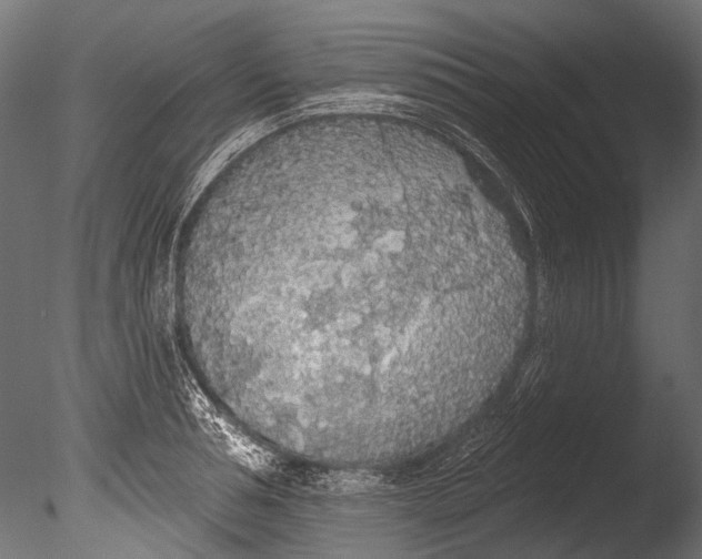 X0000085080994200703261253