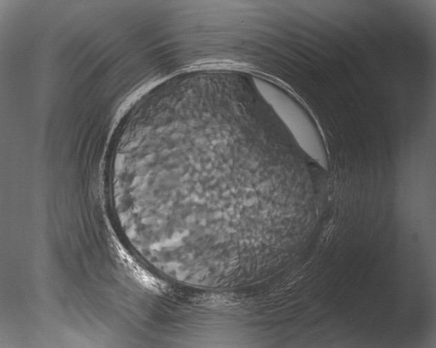 X0000085080995200703261253