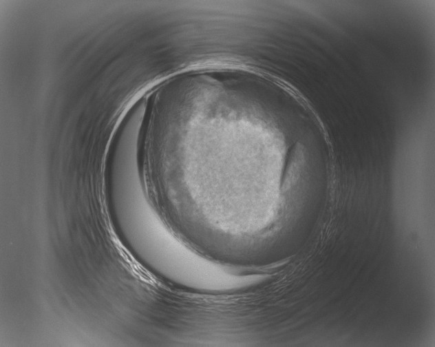 X0000085080996200703261253