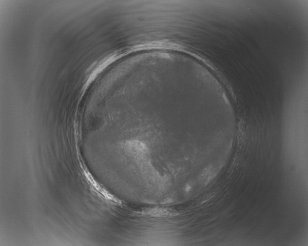 X0000085080998200703261253