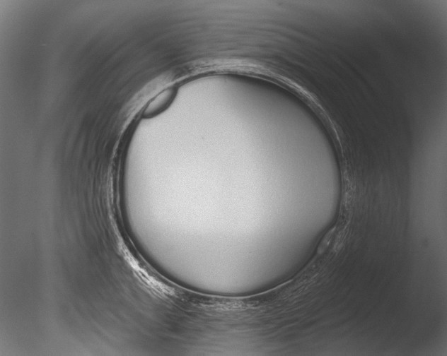 X0000085080999200703261253