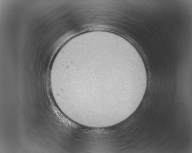 X0000085081000200703261253