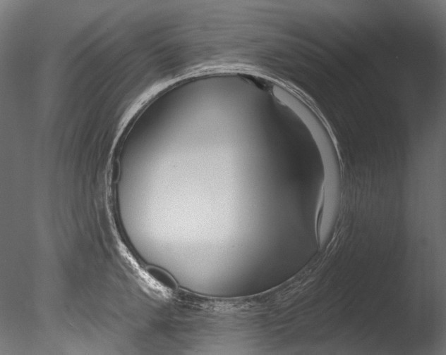 X0000085081005200703261253