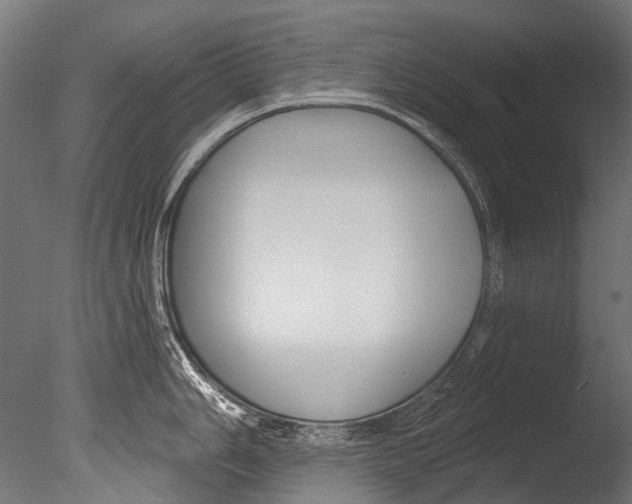 X0000085081006200703261253