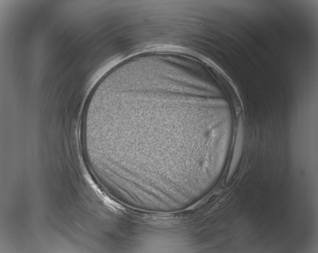 X0000085081007200703261253