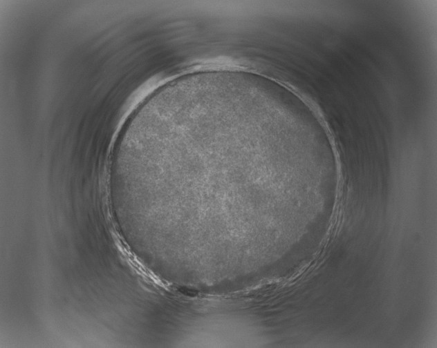 X0000085081008200703261253