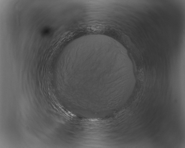 X0000085081009200703261252