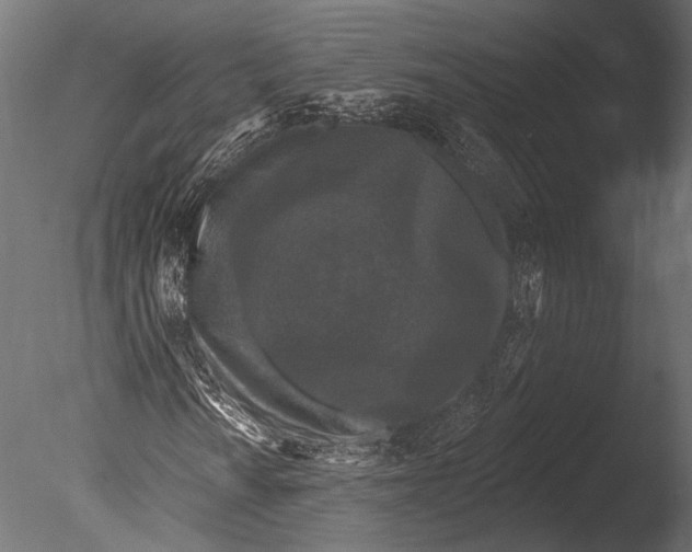 X0000085081010200703261252