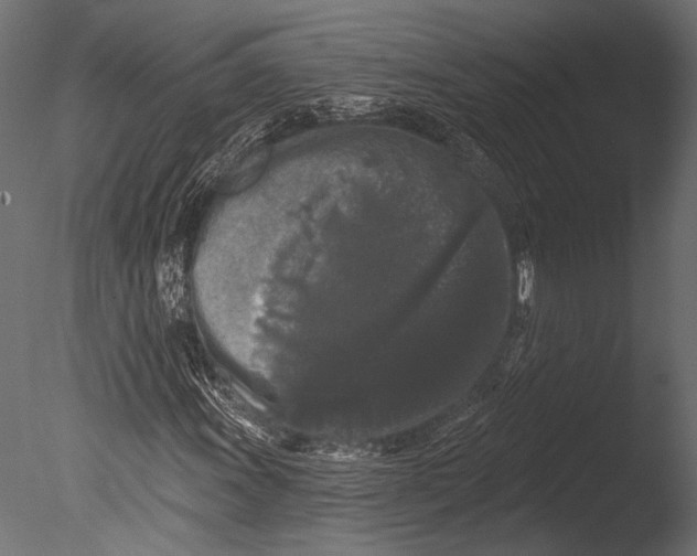 X0000085081011200703261252