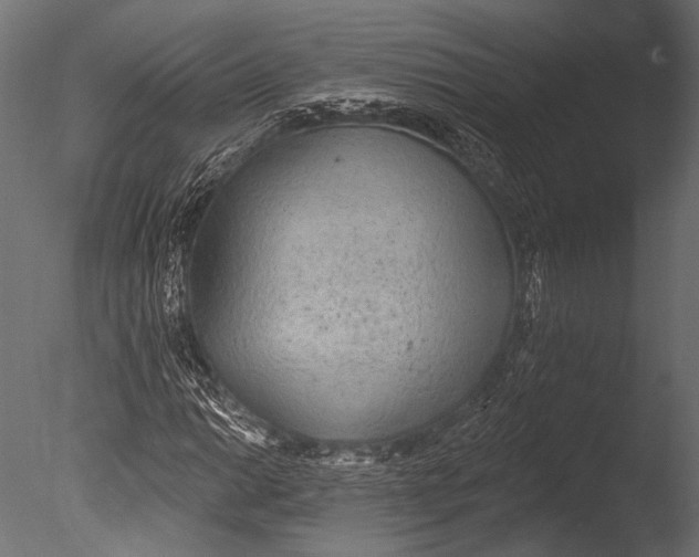 X0000085081014200703261252