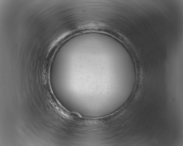 X0000085081018200703261252