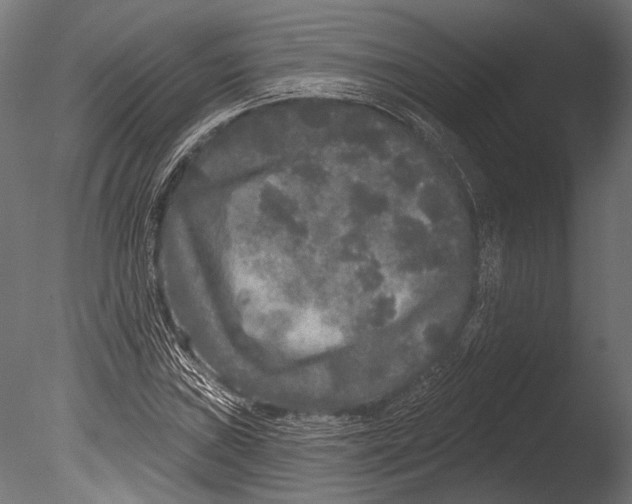 X0000085081019200703261252