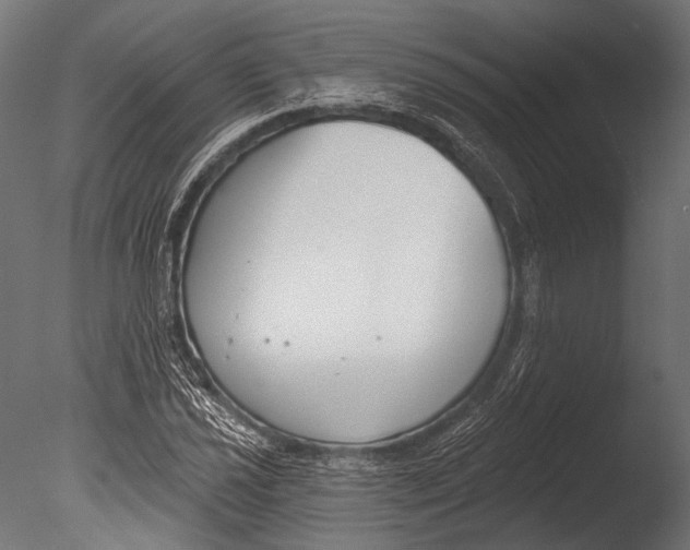 X0000085081021200703261252