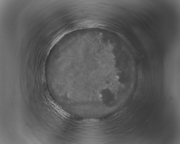 X0000085081023200703261252