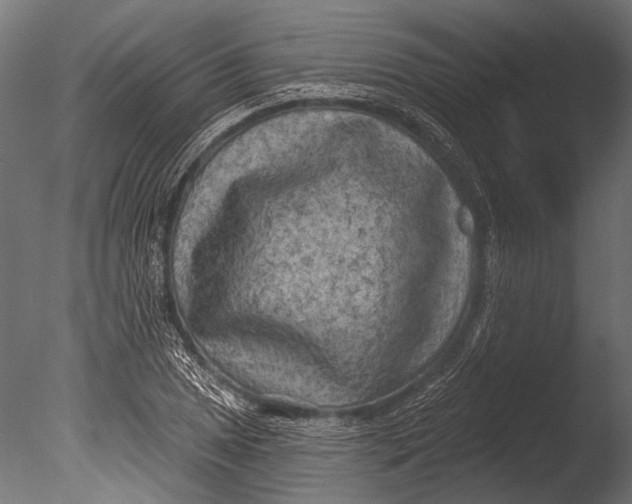 X0000085081025200703261252