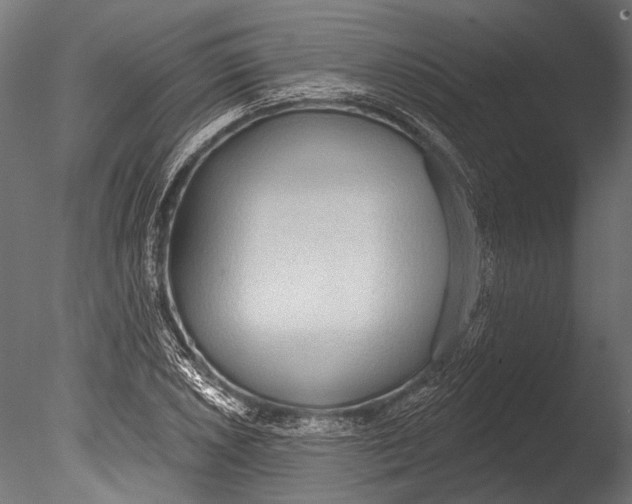 X0000085081026200703261252