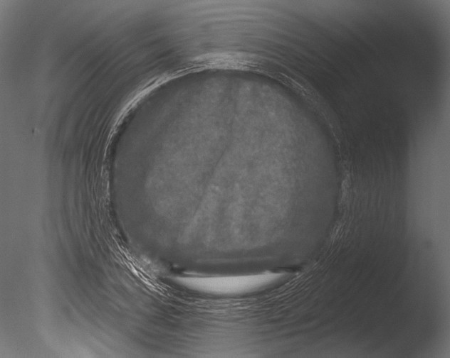 X0000085081027200703261252