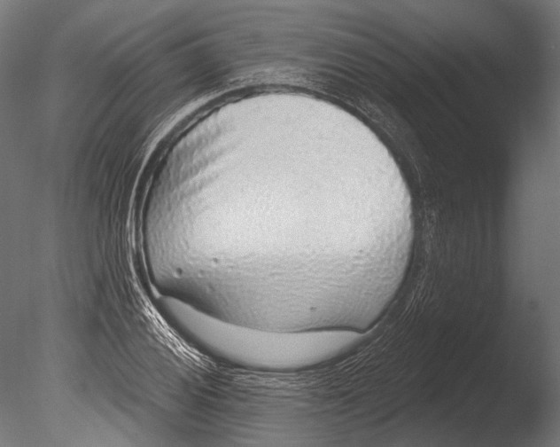 X0000085081028200703261252