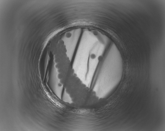 X0000085081030200703261252