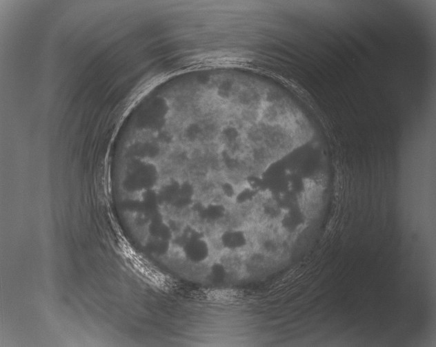 X0000085081031200703261252