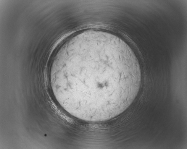 X0000085081032200703261252