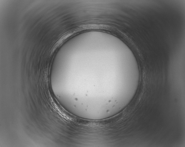 X0000085081033200703261253