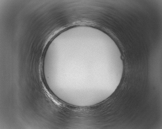 X0000085081040200703261253