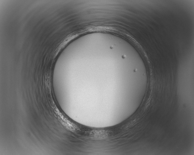 X0000085081041200703261253