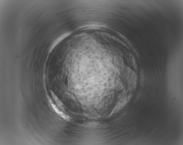 X0000085081042200703261253