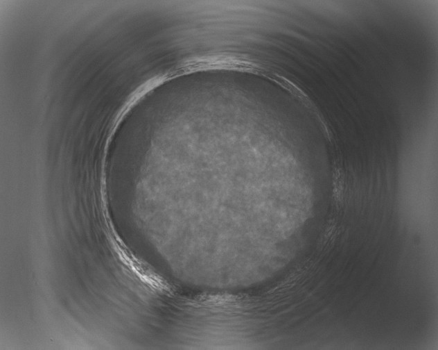 X0000085081043200703261253