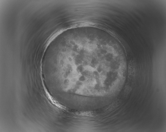 X0000085081047200703261253