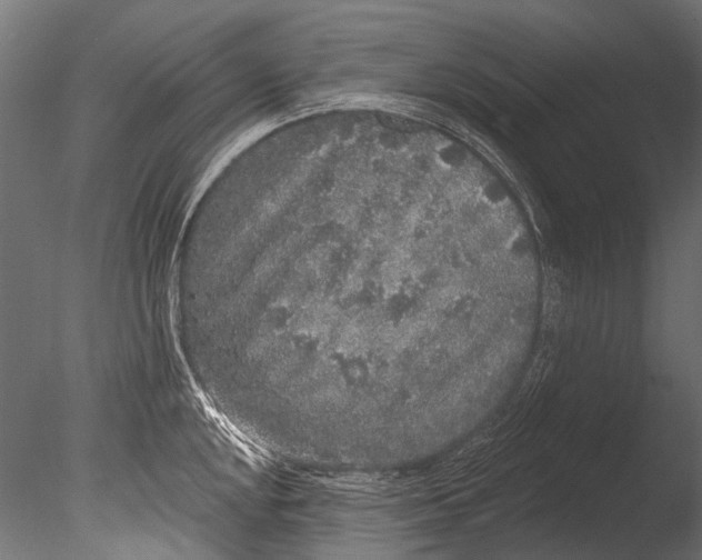 X0000085081048200703261253