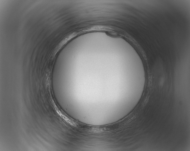 X0000085081049200703261253