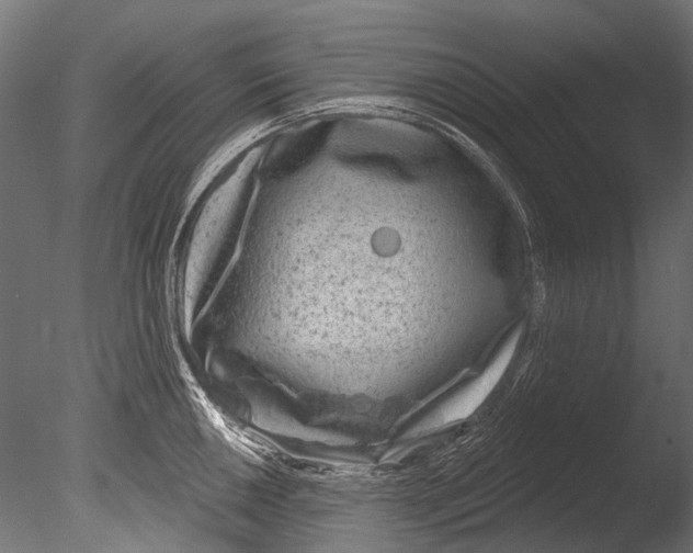 X0000085081050200703261253