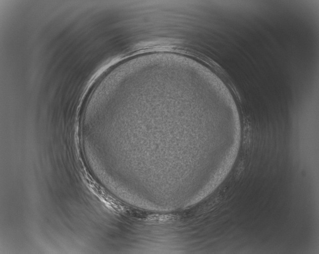 X0000085081051200703261253