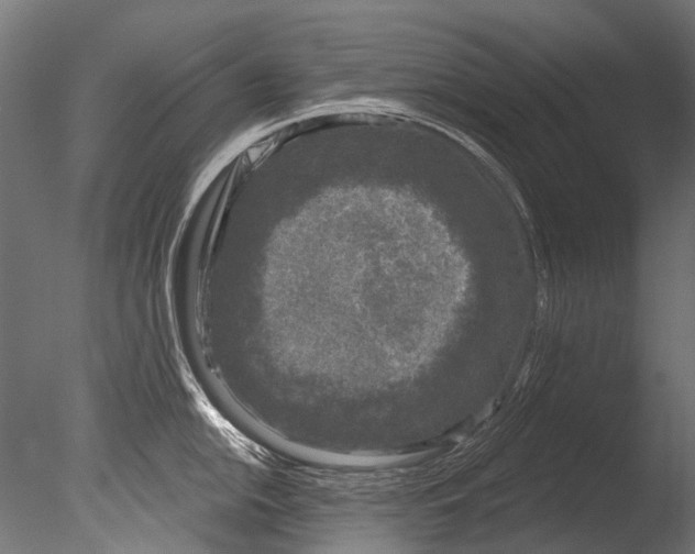 X0000085081054200703261253