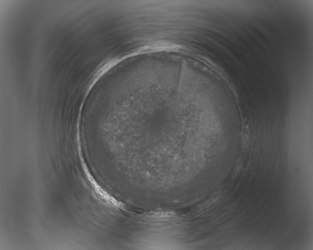 X0000085081055200703261253