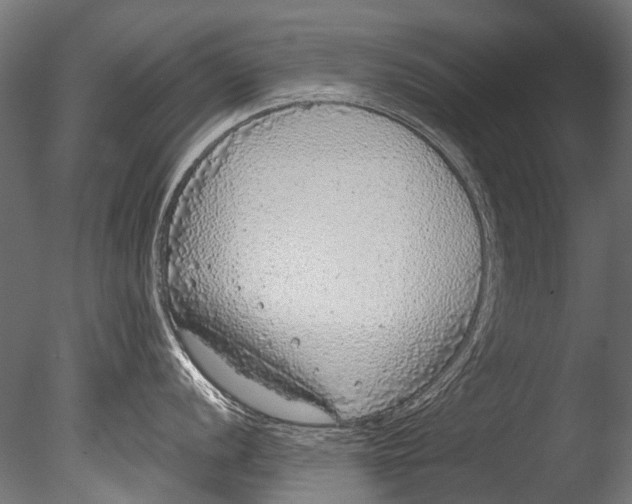 X0000085081056200703261253