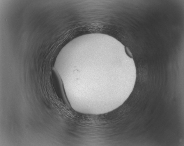 X0000085081057200703261252