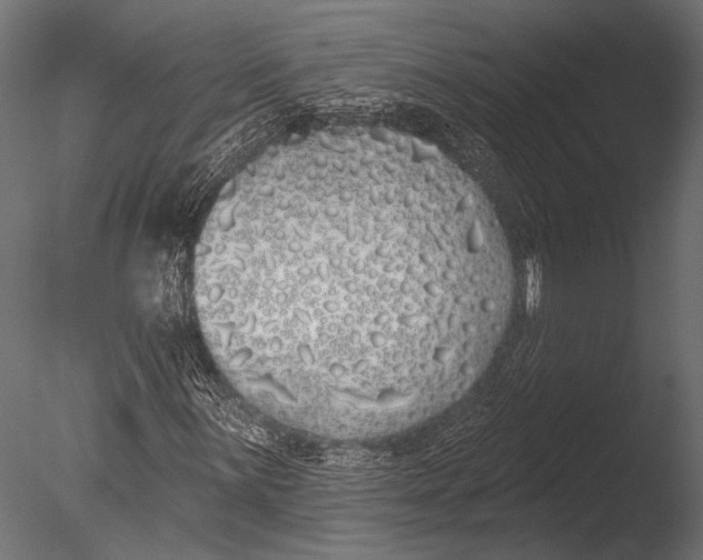 X0000085081059200703261252